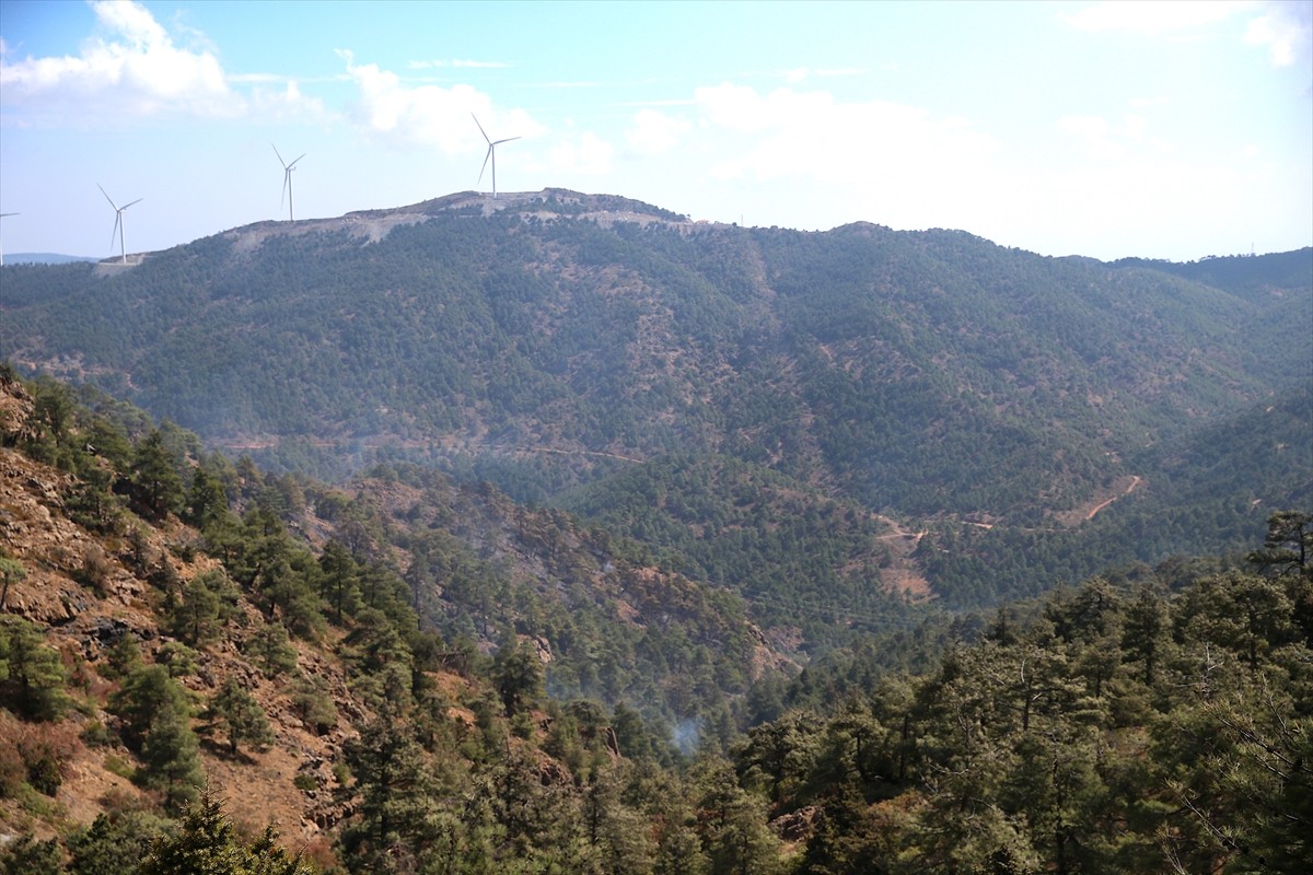 Hatay'ın Antakya ilçesinde, ormanlık alanda henüz belirlenemeyen nedenle çıkan yangın, havadan ve...