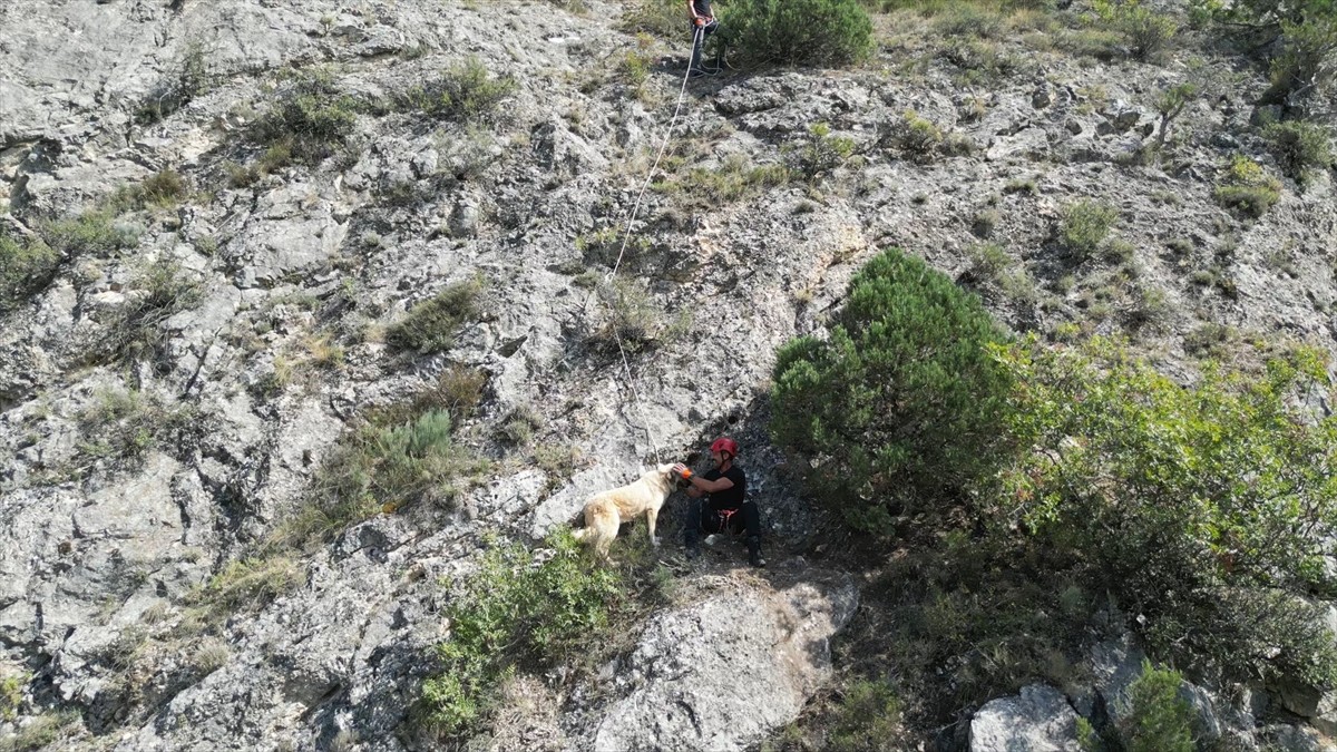 Çorum'da kayalıklarda mahsur kalan köpek, Çorum Belediyesi itfaiye ekiplerince kurtarıldı.