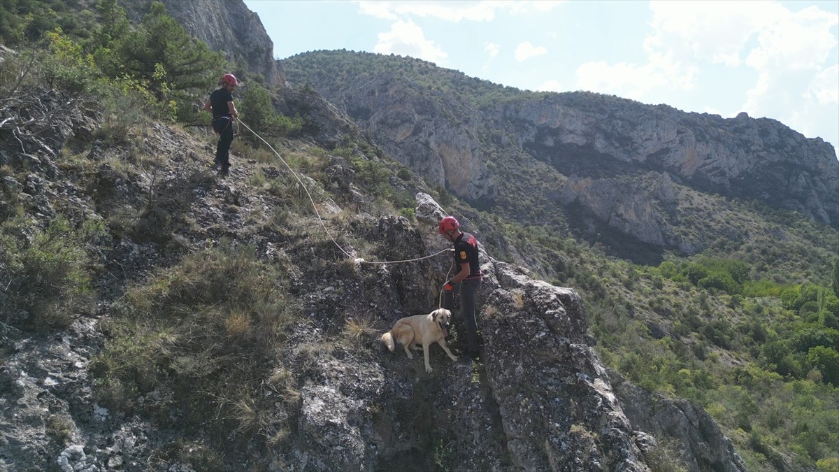 Çorum'da kayalıklarda mahsur kalan köpek, Çorum Belediyesi itfaiye ekiplerince kurtarıldı.