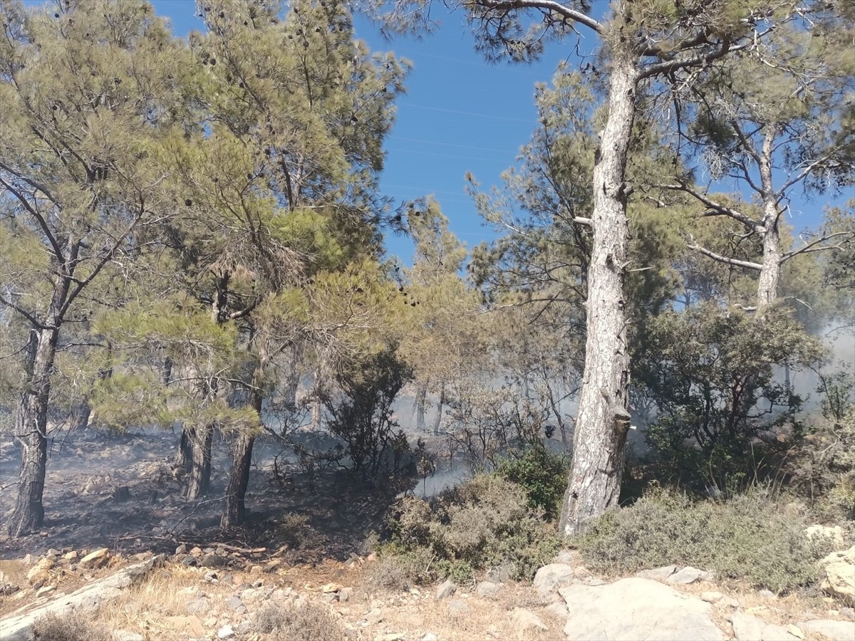 Mersin'in Gülnar ilçesinde ormanlık alanda çıkan yangın, ekiplerin müdahalesiyle kontrol altına...