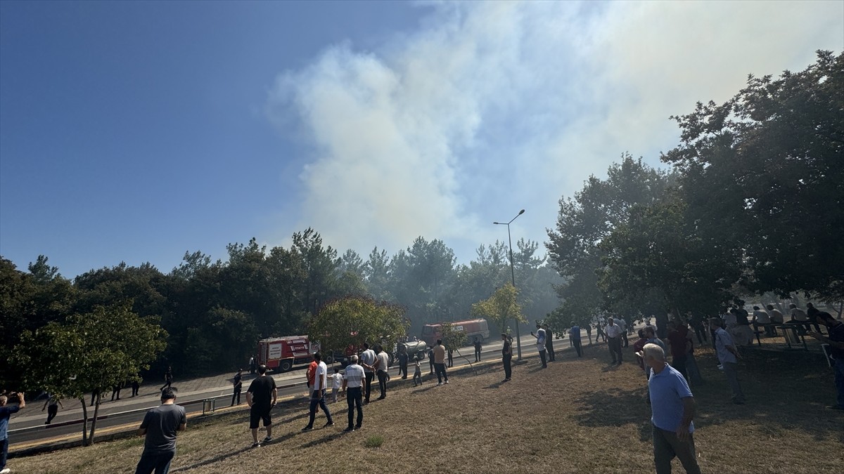 Ondokuz Mayıs Üniversitesi (OMÜ) kampüsündeki ormanlık alanda çıkan yangın söndürülmeye...