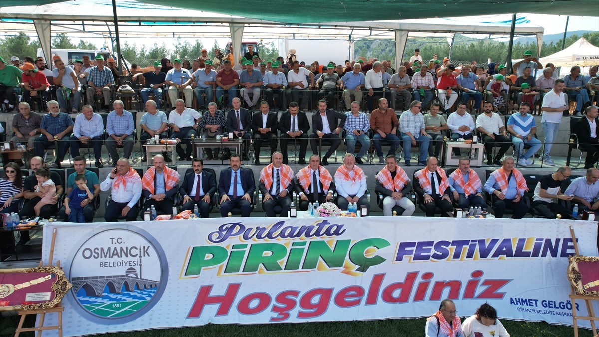 Çorum'un Osmancık ilçesinde Pırlanta Pirinç Kültür ve Sanat Festivali kapsamında düzenlenen Yağlı...