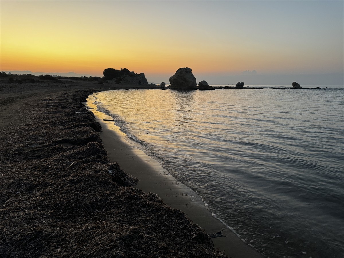 Nesli tükenme tehdidi altındaki caretta carettaların yavrularının, Antalya'nın Kızılot...