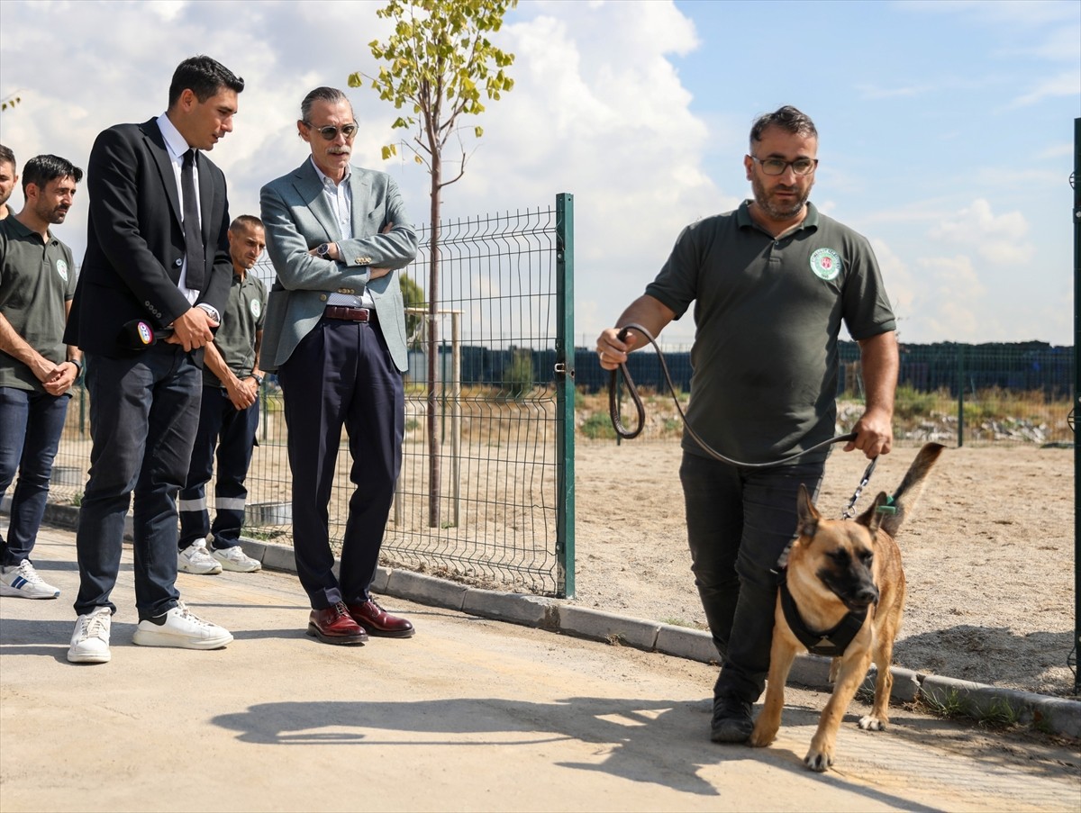 Etimesgut Belediye Başkanı Erdal Beşikçioğlu (sağda), eğitimleri tamamlanan sahipsiz köpeklerden...