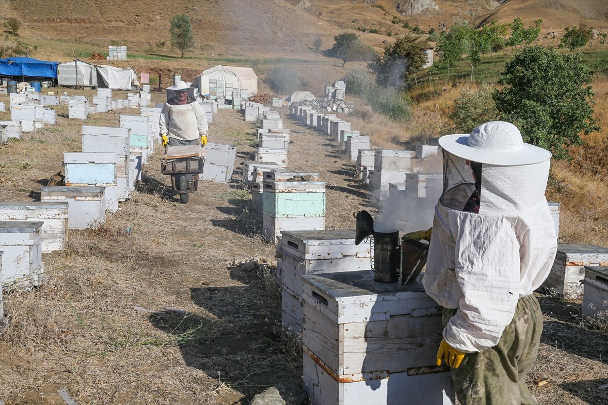 Ordulu Şinasi ve Cevriye Keskin çifti, zengin bitki örtüsü, doğal su kaynakları ve yüksek rakımı...