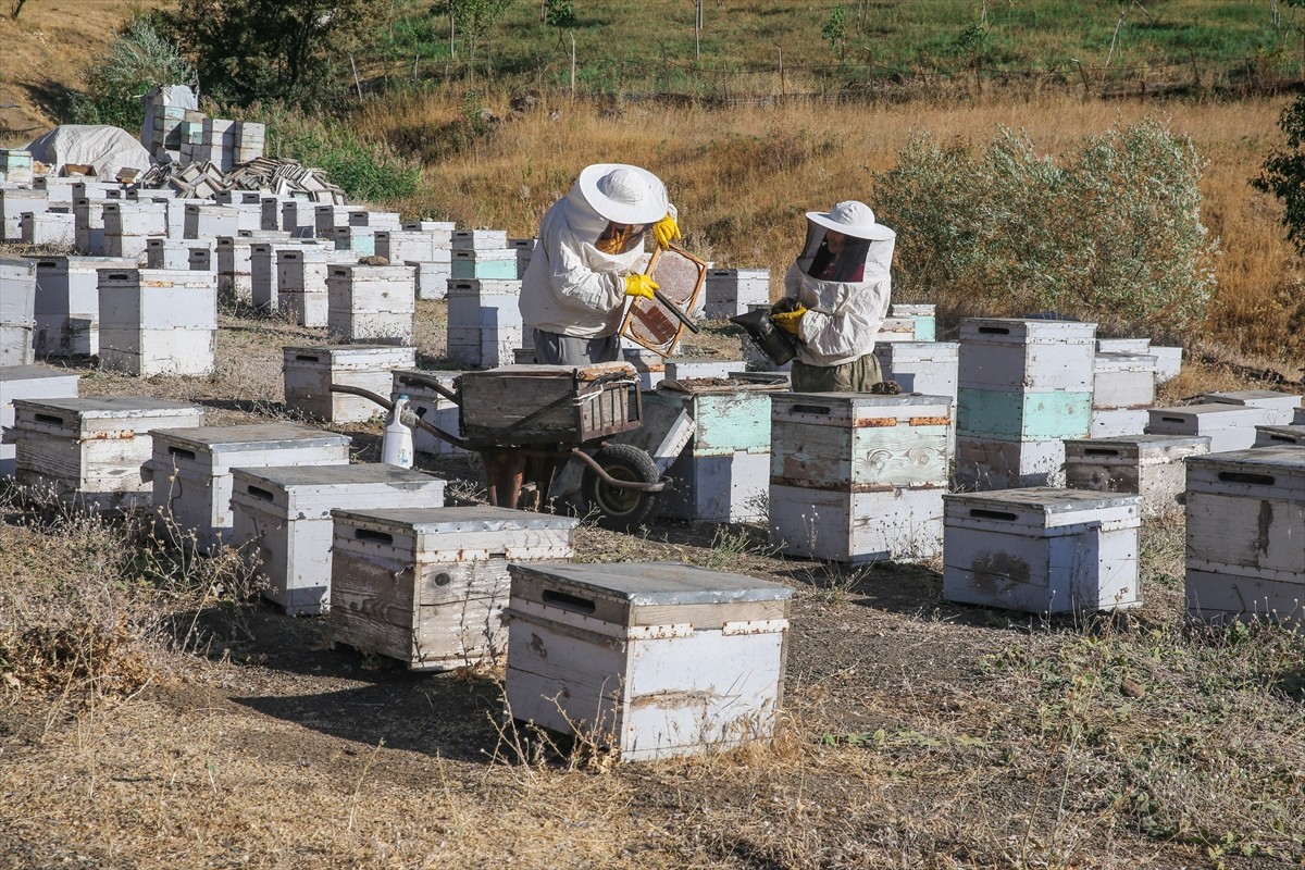 Ordulu Şinasi ve Cevriye Keskin çifti, zengin bitki örtüsü, doğal su kaynakları ve yüksek rakımı...