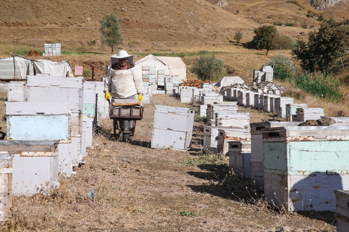 Ordulu Şinasi ve Cevriye Keskin çifti, zengin bitki örtüsü, doğal su kaynakları ve yüksek rakımı...