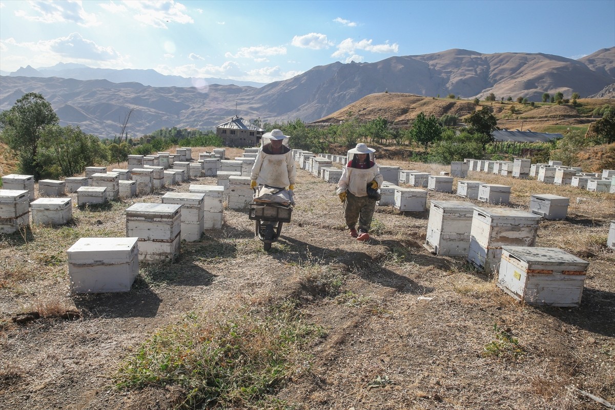 Ordulu Şinasi ve Cevriye Keskin çifti, zengin bitki örtüsü, doğal su kaynakları ve yüksek rakımı...