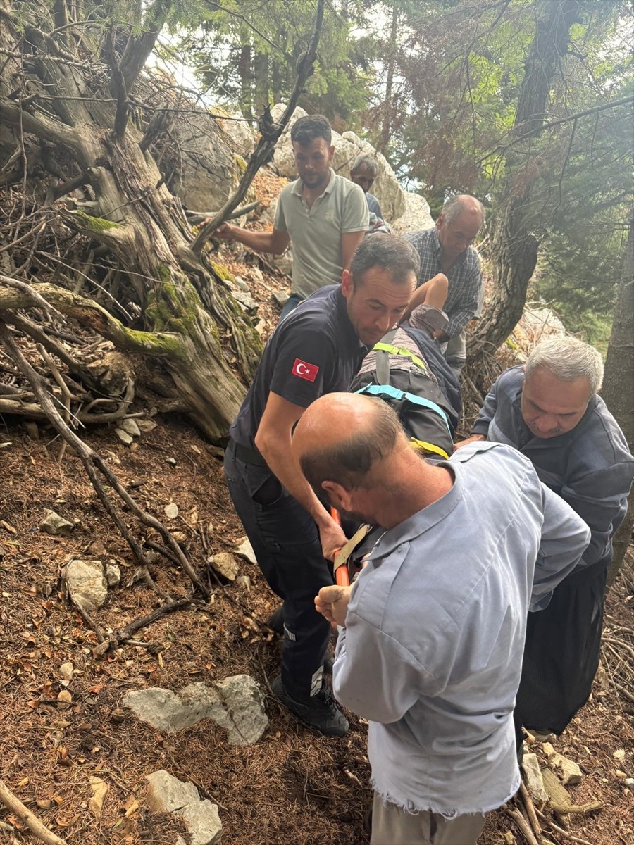 Adana'nın Aladağ ilçesinde kayalıklardan düşen kişi yaralandı.