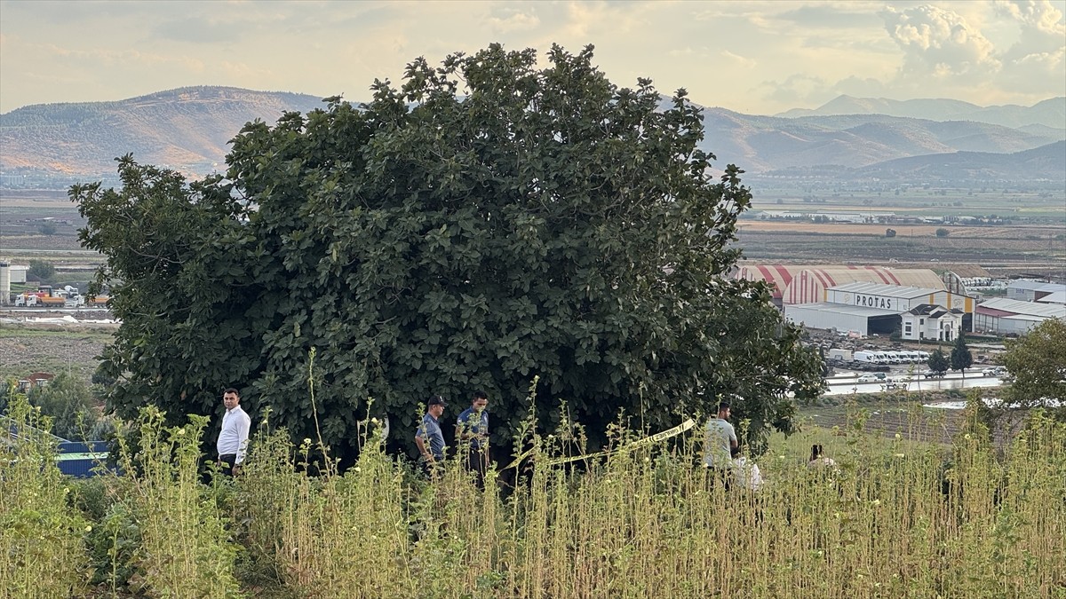 Kahramanmaraş'ın Onikişubat ilçesinde hayvan otlatan çoban, yıldırım isabet etmesi sonucu hayatını...