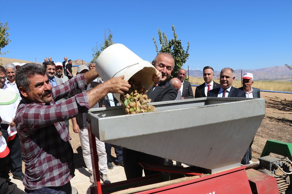 Elazığ'da yaklaşık 32 bin dekar alanda bulunan 472 bin ağaçta yetiştirilen bademin hasadına...