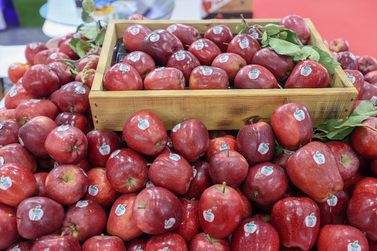 İzmir'de ilk kez düzenlenen Interfresh Eurasia Yaş Meyve Sebze Fuarı, meyve ve sebze sektörü ile...