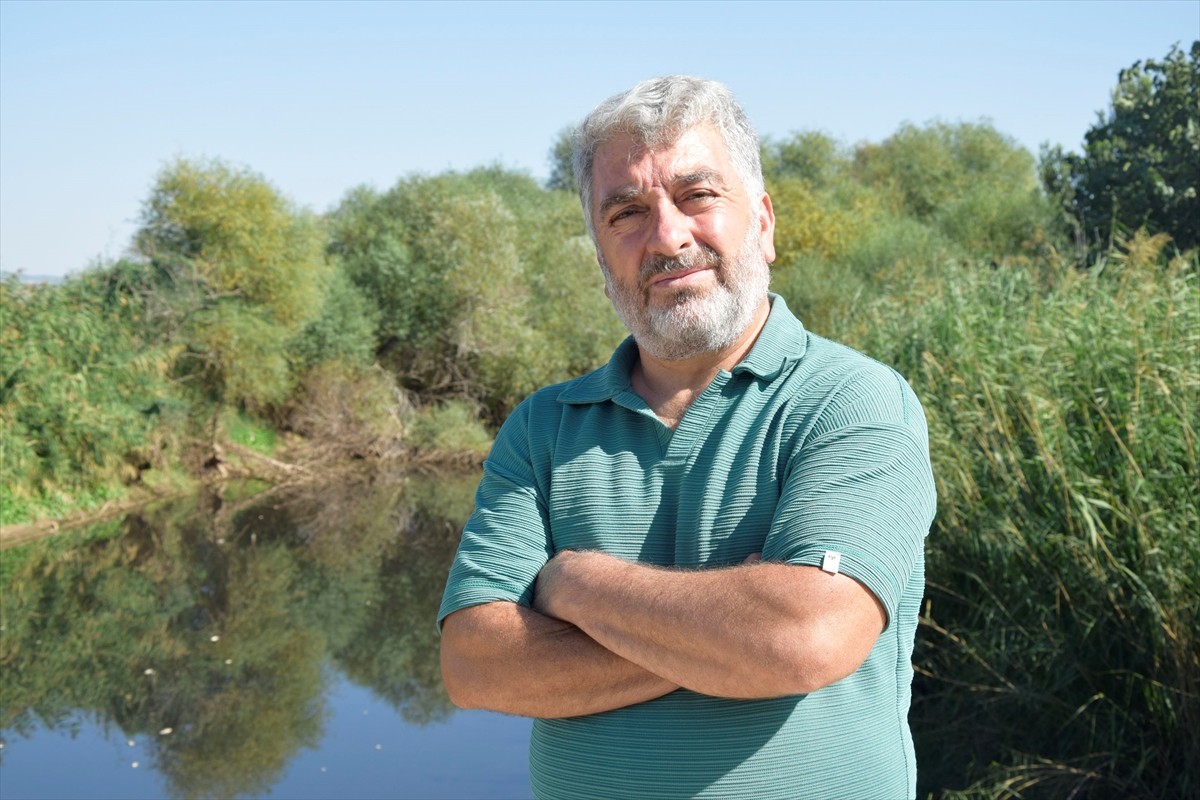 Gediz Nehri'nin Manisa'nın Turgutlu ilçesinden geçen bölümünde toplu balık ölümleri görüldü, su ve...