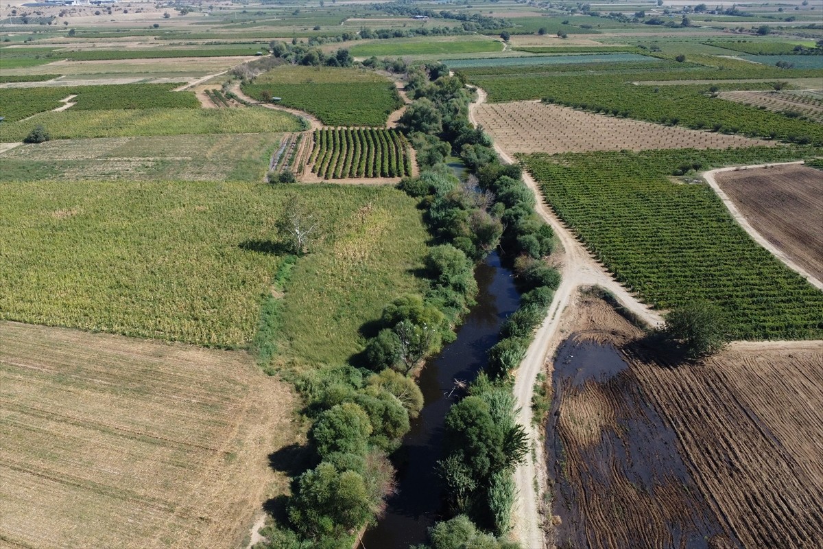 Gediz Nehri'nin Manisa'nın Turgutlu ilçesinden geçen bölümünde toplu balık ölümleri görüldü, su ve...