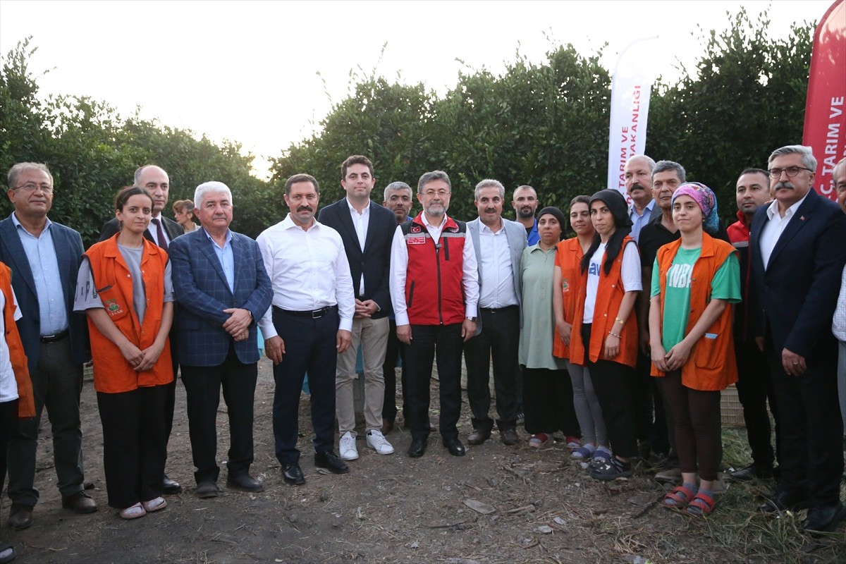 Tarım ve Orman Bakanı İbrahim Yumaklı, Hatay'ın Dörtyol ilçesinde Latif Çınar'a ait narenciye...