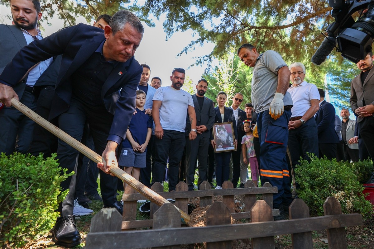 Tedavi gördüğü klinikte ölen kedi Şero, CHP Genel Merkezi'nin bahçesine gömüldü. Genel Başkan...