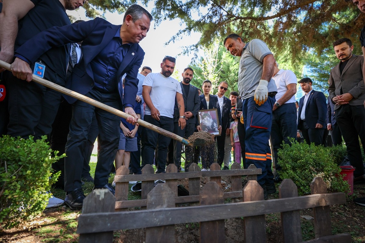 Tedavi gördüğü klinikte ölen kedi Şero, CHP Genel Merkezi'nin bahçesine gömüldü. Genel Başkan...