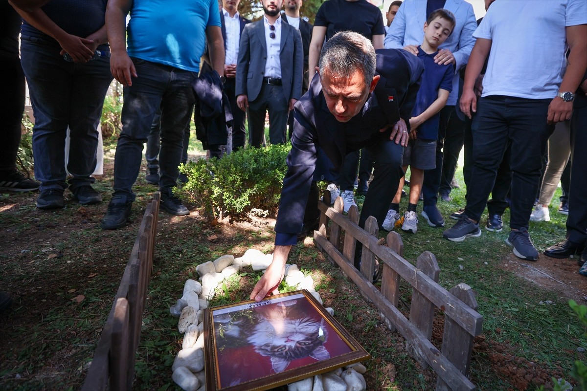 Tedavi gördüğü klinikte ölen kedi Şero, CHP Genel Merkezi'nin bahçesine gömüldü. Genel Başkan...