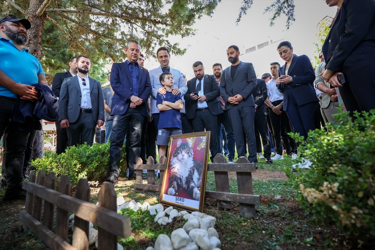 Tedavi gördüğü klinikte ölen kedi Şero, CHP Genel Merkezi'nin bahçesine gömüldü. Genel Başkan...