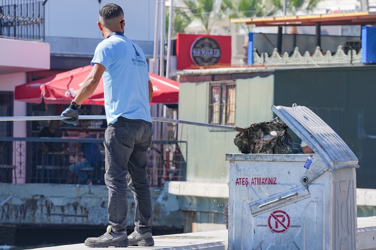 İzmir Körfezi'nde ölen çok sayıda balık kıyıya vurdu. Karşıyaka ilçesinde Bostanlı iskele...