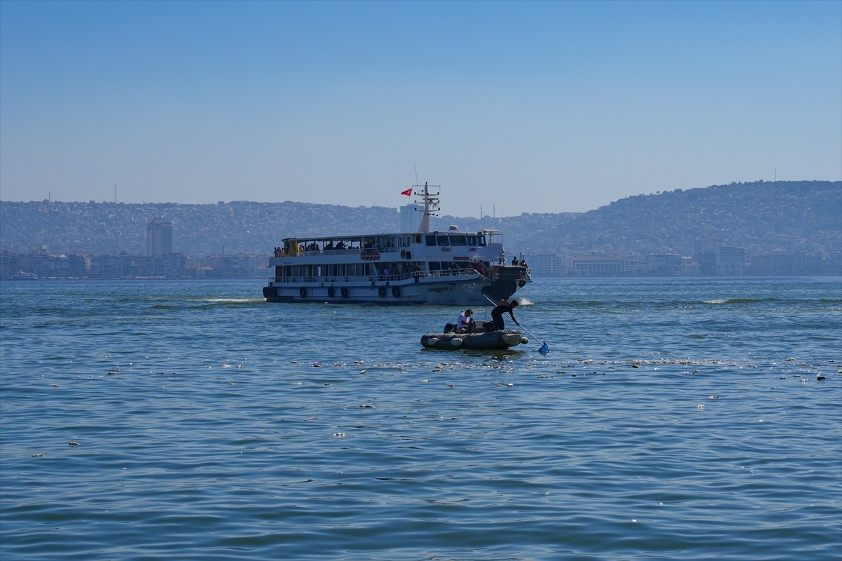 İzmir Körfezi'nde ölen çok sayıda balık kıyıya vurdu. Karşıyaka ilçesinde Bostanlı iskele...