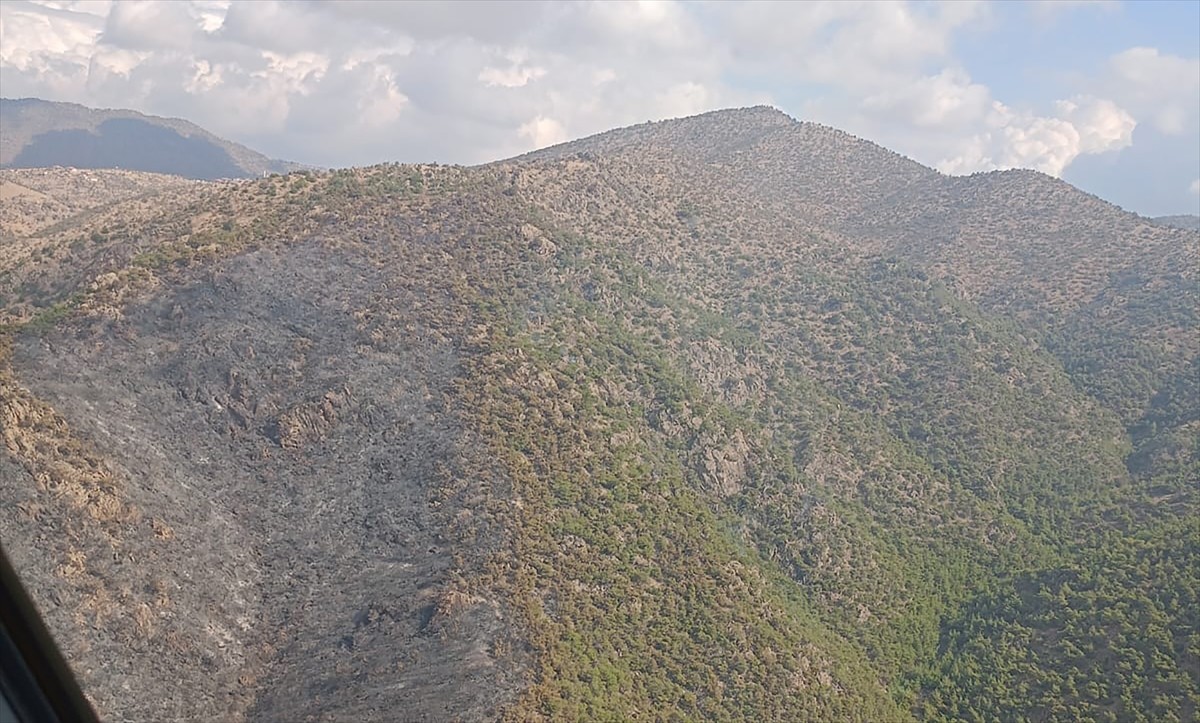 Manisa'nın Alaşehir ilçesinde, dün çıkan orman yangını kontrol altına alındı.