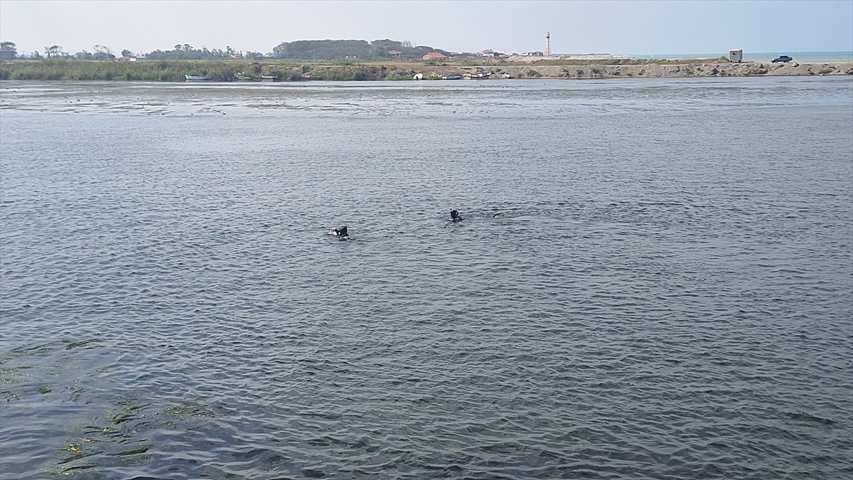 Samsun'un Bafra ilçesinde denizde kaybolan balıkçı Orhan Çorbacı'yı arama çalışması başlatıldı. İl...