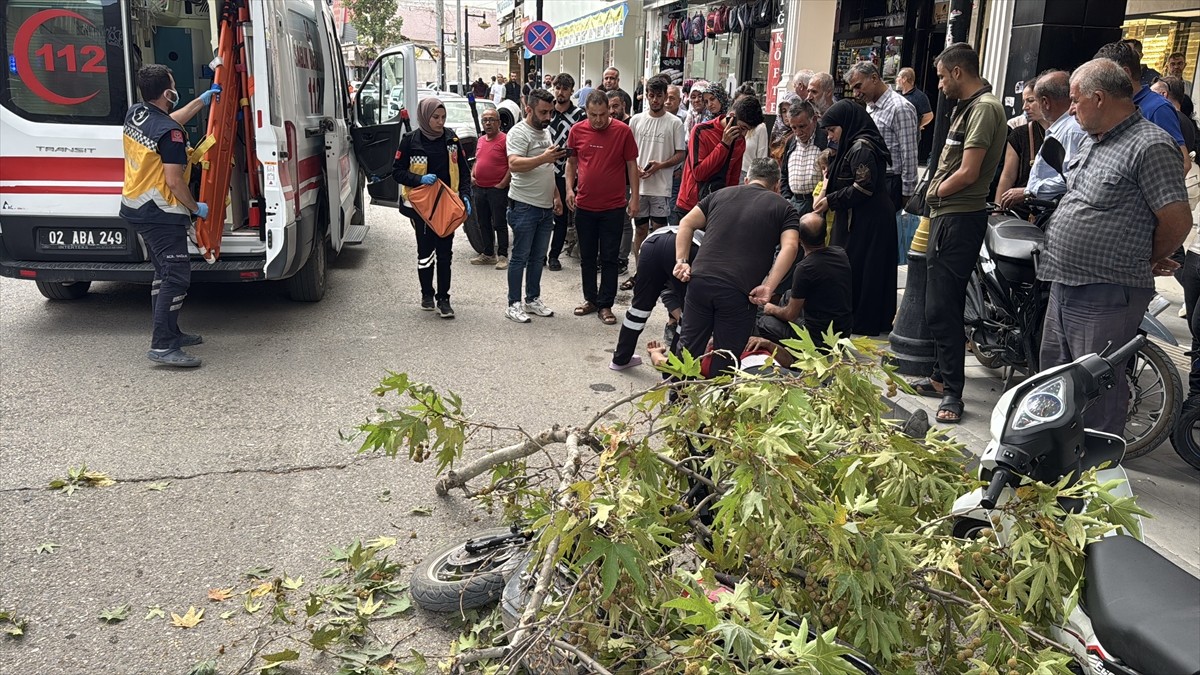 Adıyaman'da seyir halindeyken üzerine rüzgarın kırdığı ağaç dalı düşen elektrikli motosikletteki...