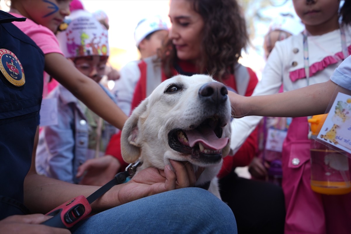 Düzce'de 4 Ekim Hayvanları Koruma Günü dolayısıyla düzenlenen "Can dostlarımıza yuva olur musun?"...