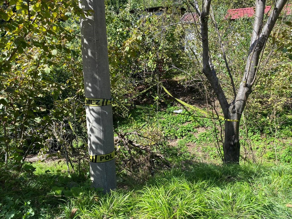 Zonguldak'ta domuz sanılarak vurulan kadın hayatını kaybetti. 