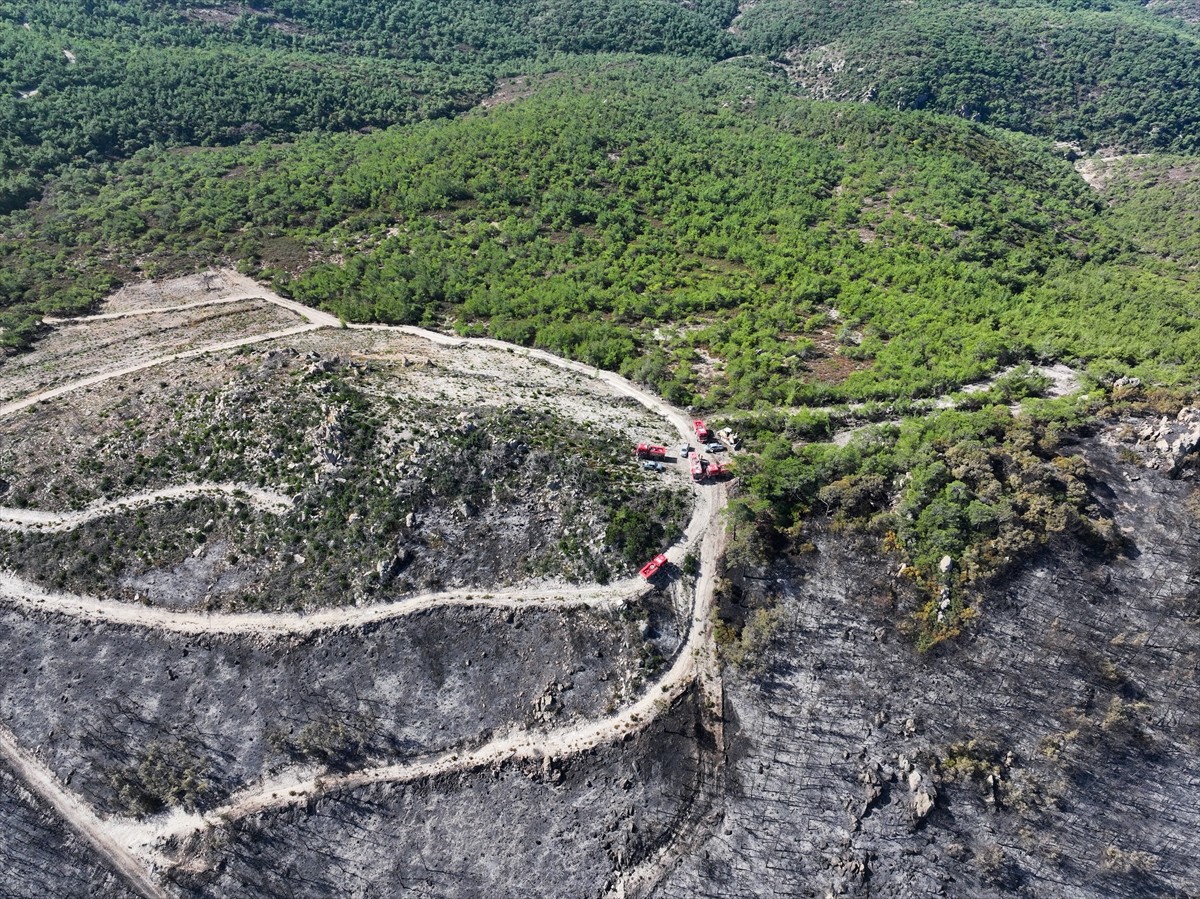 İzmir'in Foça ilçesinde çöplükte başlayarak ormana sıçrayan, yoğun müdahale ile kontrol altına...