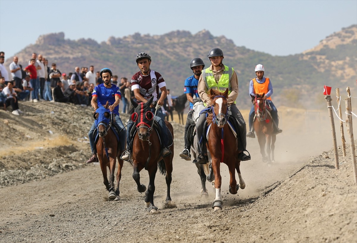 Mardin'in merkez Artuklu ilçesinde Gençlik ve Spor Bakanlığı, Valilik, Türkiye Geleneksel Atlı...