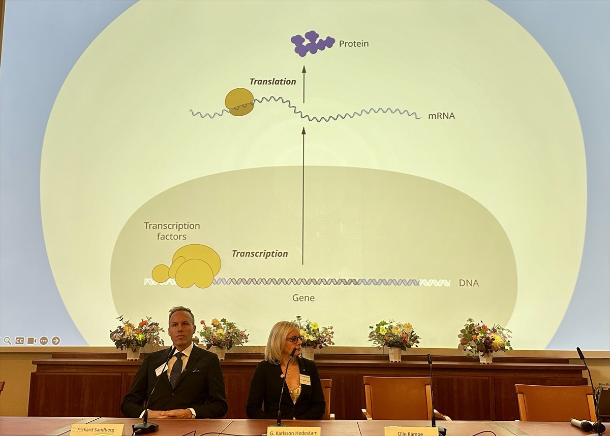 2024 Nobel Tıp Ödülü'nü "mikroRNA'nın keşfi ve gen düzenlemesi" çalışmalarından dolayı ABD'li...