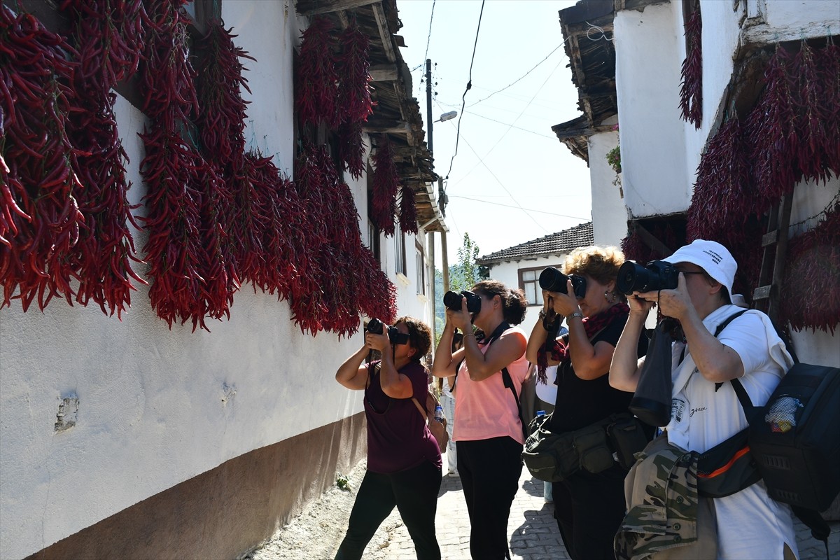 Bilecik'in merkeze bağlı Çukurören köyü, kurutma döneminde köyü adeta kırmızıya boyayan tescilli...