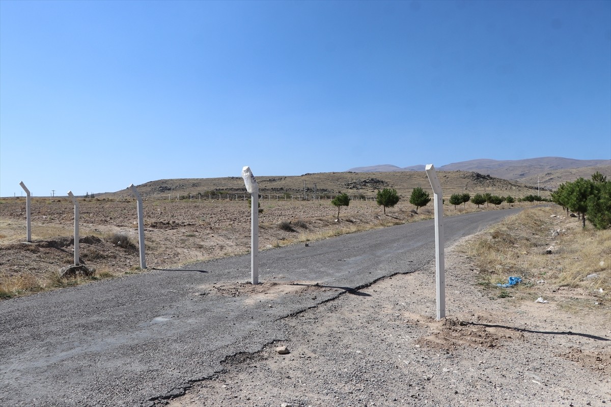 Niğde'de, bir kişi, yaklaşık 7 yıl önce merkeze bağlı Güllüce köyü yakınlarında satın aldığı...