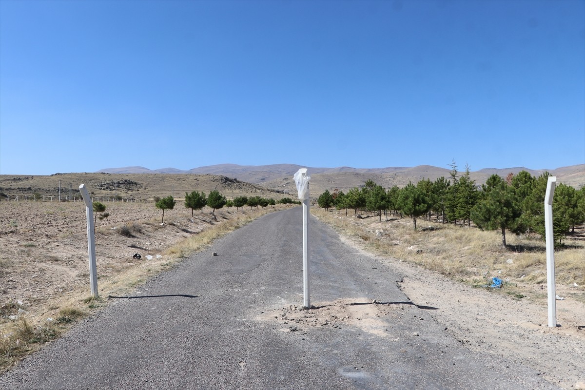 Niğde'de, bir kişi, yaklaşık 7 yıl önce merkeze bağlı Güllüce köyü yakınlarında satın aldığı...