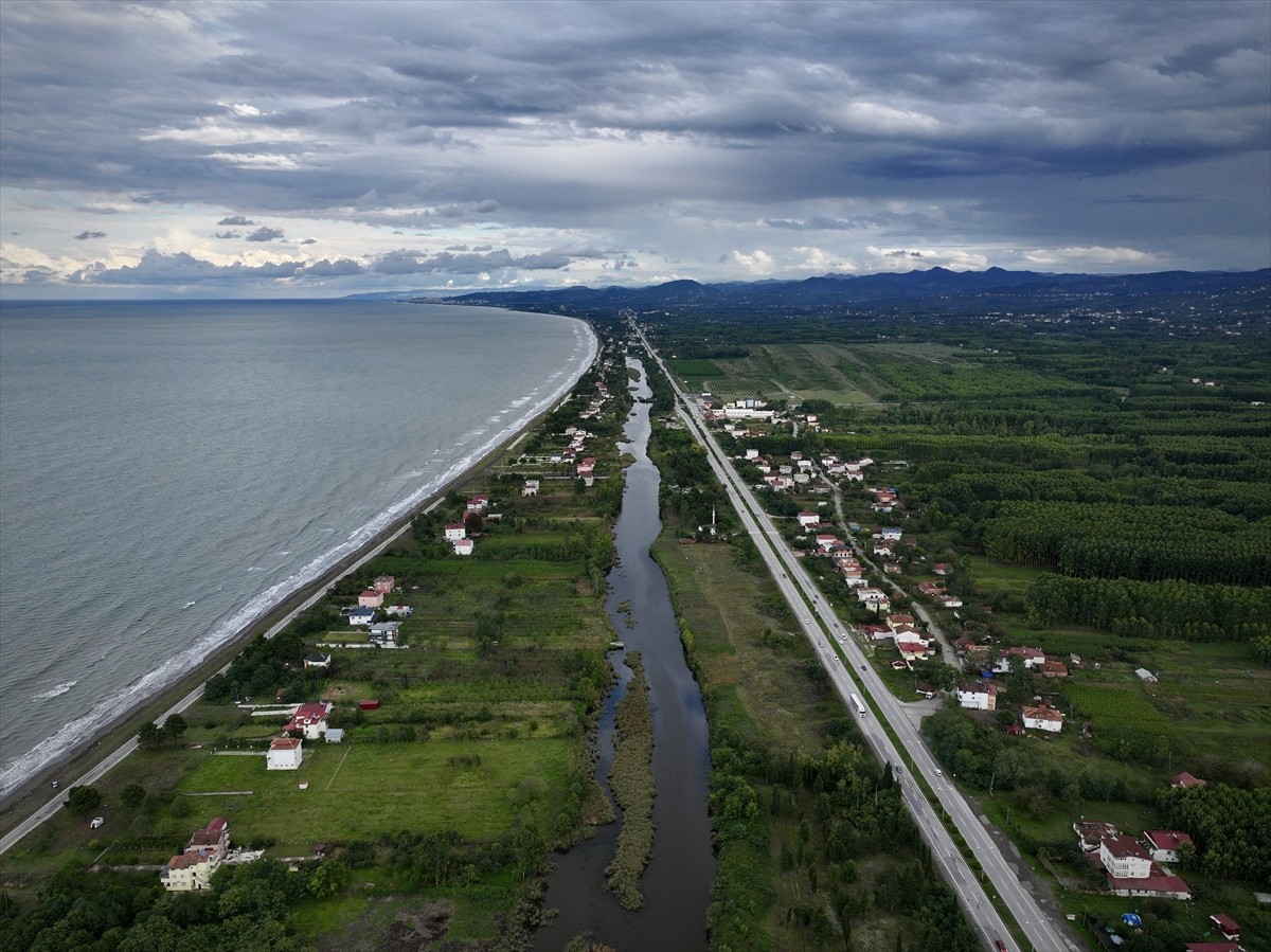 Samsun'un Terme ilçesinde "Miliç Lagünü", doğal güzellikleri ve biyolojik çeşitliliğiyle dikkati...