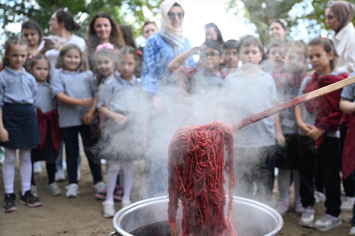 Edirne kırmızısının elde edildiği bitki için hasat etkinliği düzenlendi.