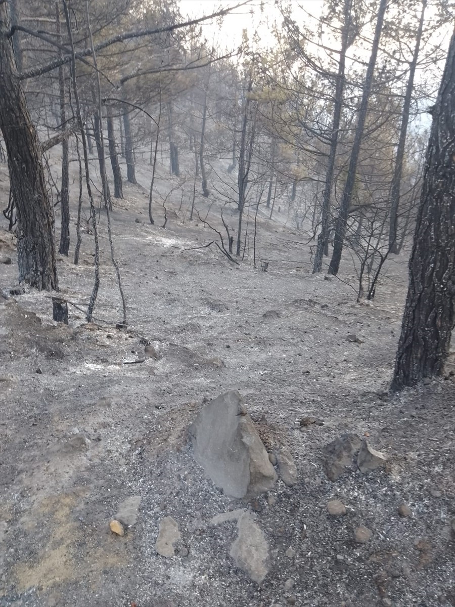  Havadan ve karadan müdahale edilen yangın, kısa sürede kontrol altına alındı.Gaziantep'in...