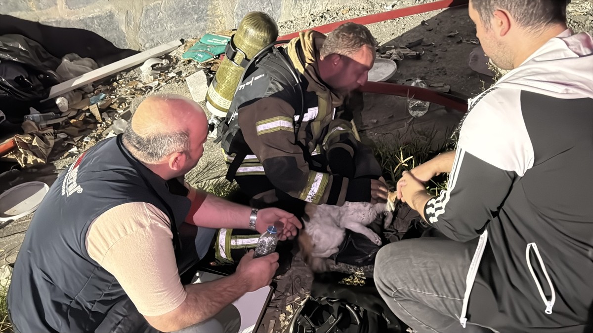 Kocaeli'nin İzmit ilçesinde pansiyonda çıkan yangın itfaiye ekiplerince söndürüldü, dumandan...