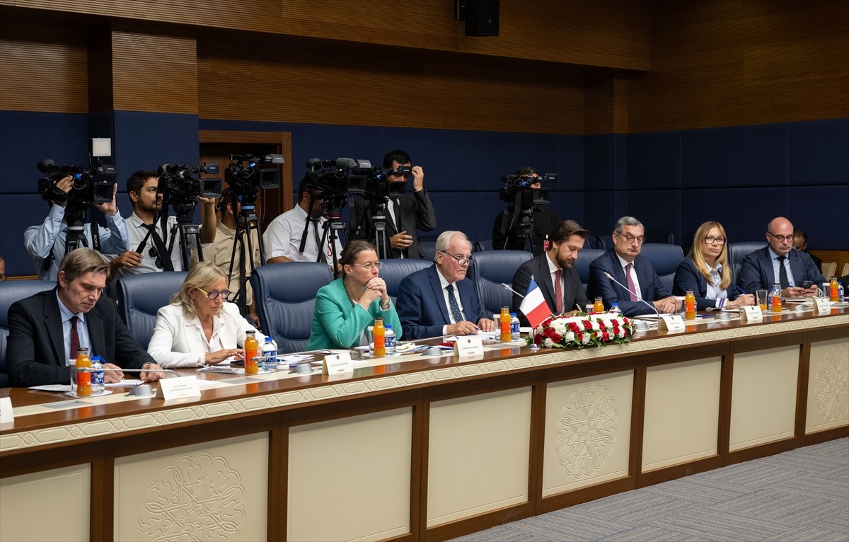 TBMM Dışişleri Komisyonu Başkanı ve AK Parti Ankara Milletvekili Fuat Oktay, Meclis'te, Fransa...