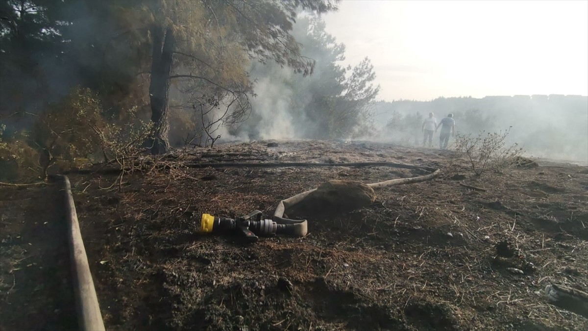 Bursa'nın Mudanya ilçesinde, ormanlık alanda çıkan yangın ekiplerin havadan ve karadan...