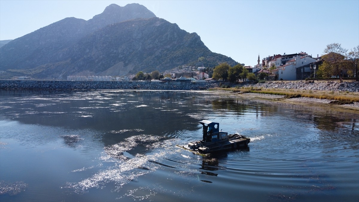 Eğirdir Gölü'nde özel tasarlanan tekne ve amfibi araçlarla yapılan ot ve yosun temizliğinin ay...