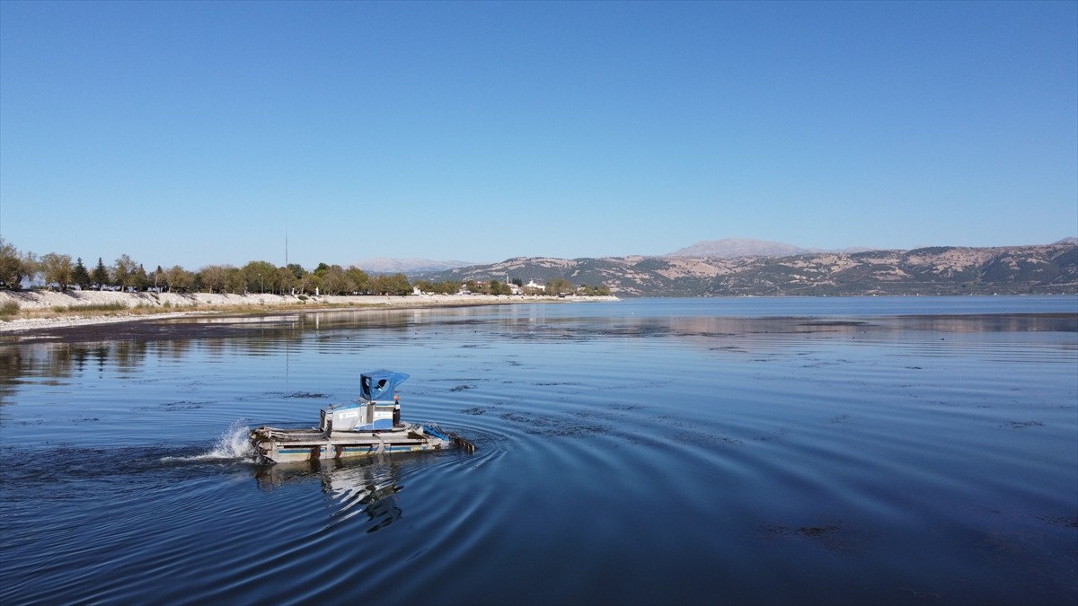 Eğirdir Gölü'nde özel tasarlanan tekne ve amfibi araçlarla yapılan ot ve yosun temizliğinin ay...