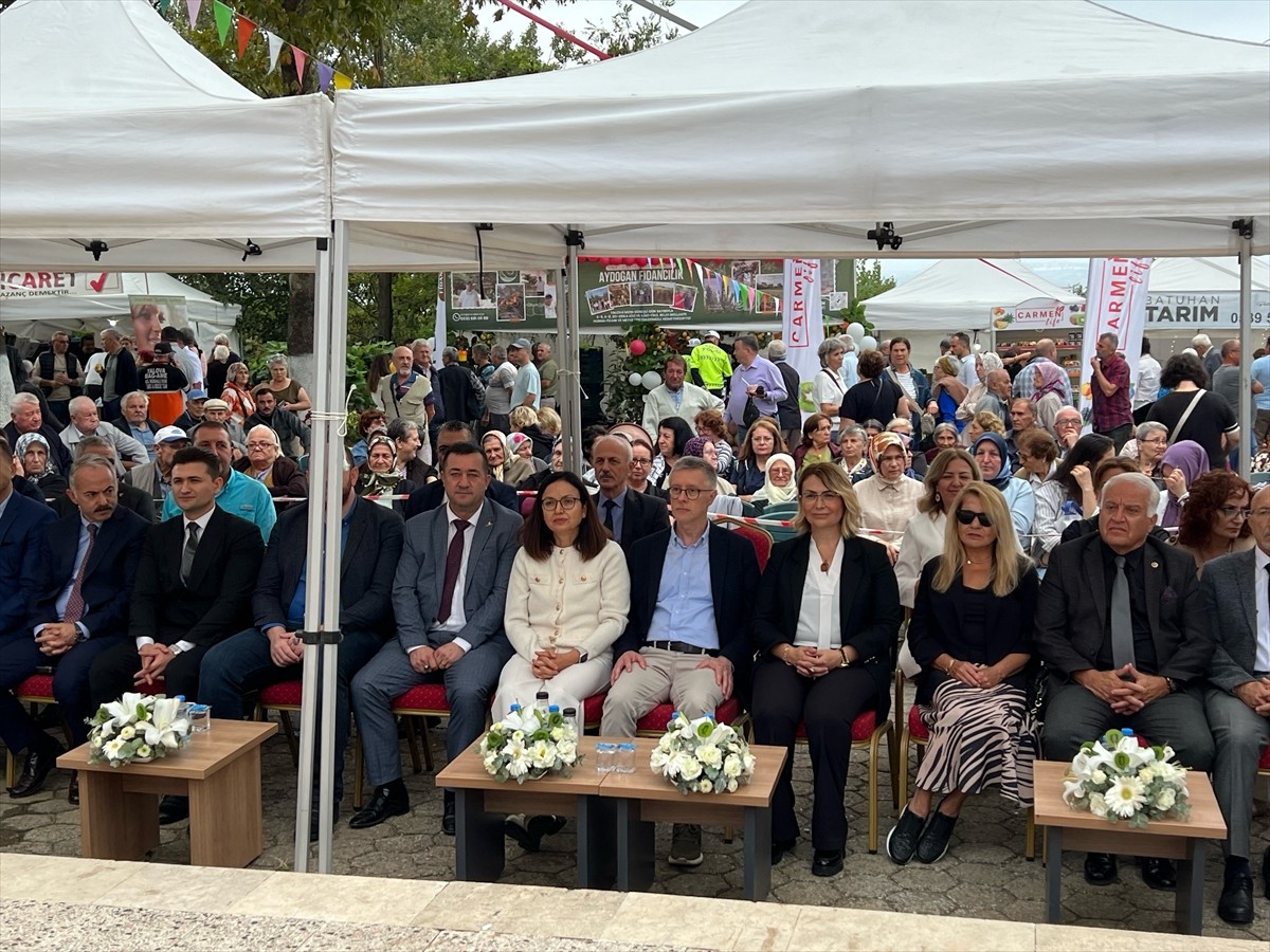 Yalova'nın Altınova ilçesine bağlı Subaşı beldesinde 11. Subaşı Kivi Festivali gerçekleştirildi....