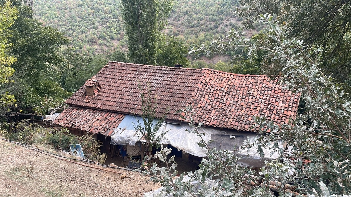 Bursa'nın Orhaneli ilçesinde bir evde ve bahçesinde 3 kişi öldürülmüş halde bulundu.