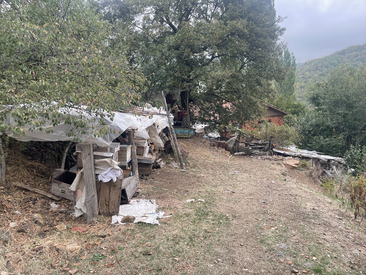 Bursa'nın Orhaneli ilçesinde bir evde ve bahçesinde 3 kişi öldürülmüş halde bulundu.