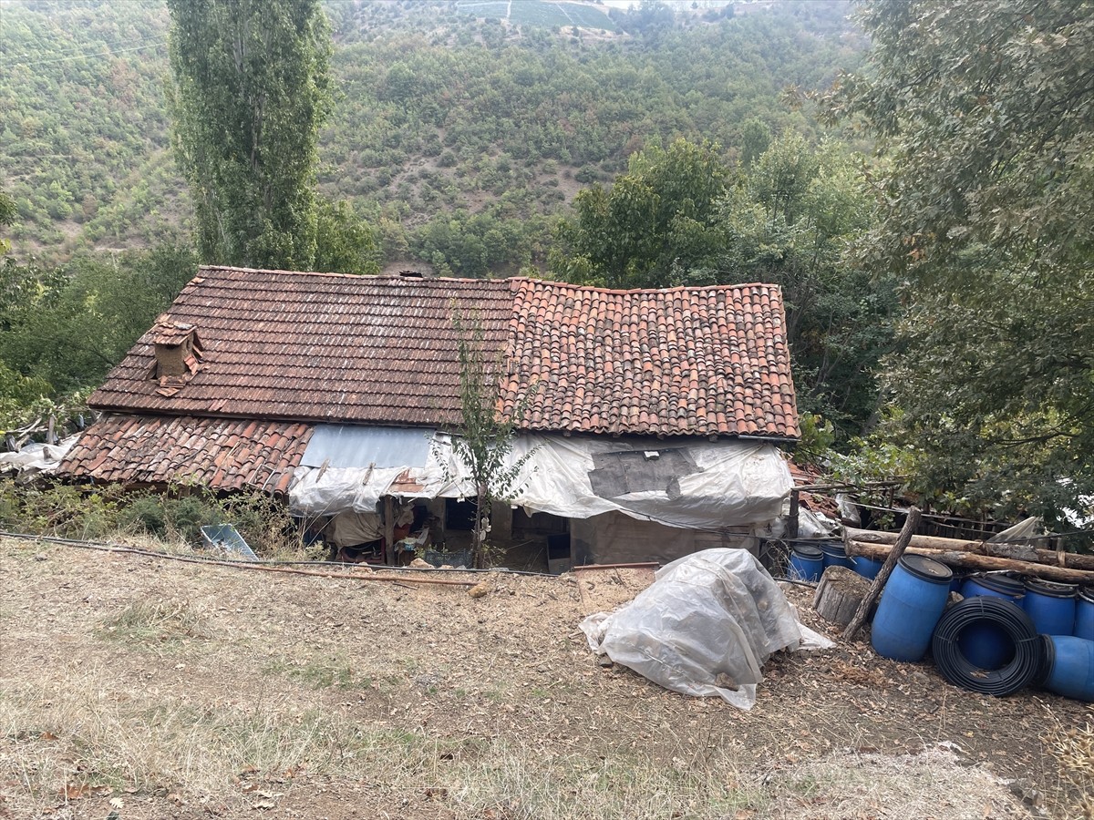 Bursa'nın Orhaneli ilçesinde bir evde ve bahçesinde 3 kişi öldürülmüş halde bulundu.