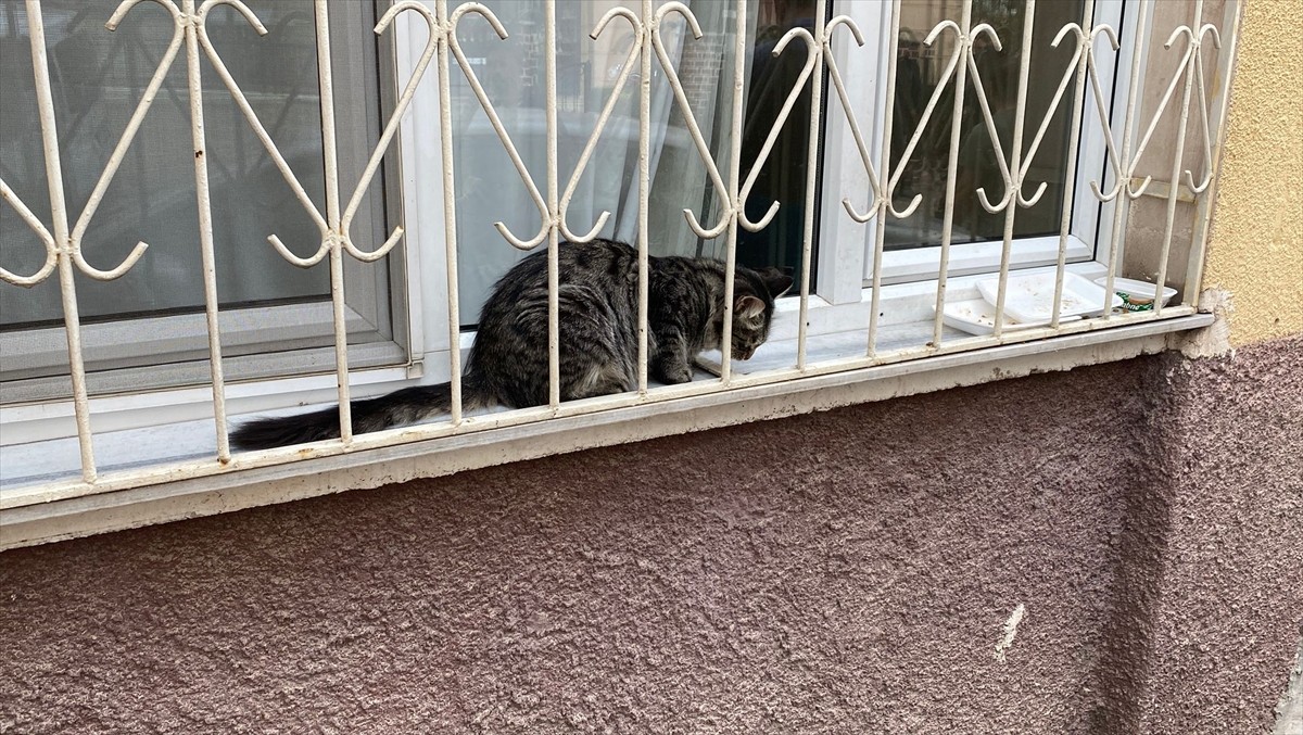 Sivas'ta emekli öğretmen, tartıştığı baba ve oğlu tabancayla vurarak yaraladı. Olay yerine polis...