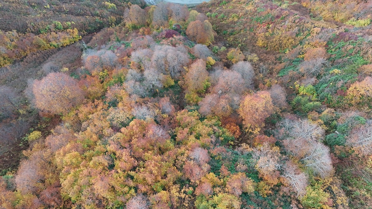 Artvin'de yerli ve yabancı turistlerin en çok ziyaret ettiği yerler arasındaki Borçka Karagöl...